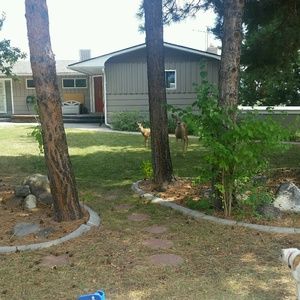 Meet your Posher, Edward